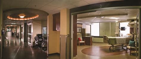 mease dunedin hospital jobs.